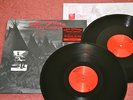 Neil Young - Broken Arrow LP (GERMANY double, Crazy Horse, MINT)
