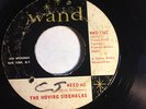 RARE PSYCH GARAGE 45/ THE MOVING SIDEWALKS 