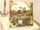 ELTON DEAN'S Ninesense- Oh For The Edge (LP) Ogun  OG900