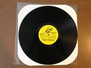 Terror One With the Underdogs vinyl TEST PRESS Hatebreed Trapped Under Ice Madba