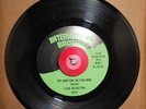 Lee Austin - Put Something On Your Mind b/w Screwdriver