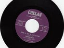 THEODIS EALEY-DEEPEST SYMPATHY- CHELAN 45#1003 -  NORTHERN SOUL / FUNK- HEAR MP3