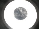  7 INCH LIMITED REPRESS  LINGER ON - PRINCE BUSTER