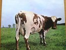 PINK FLOYD-ATOM HEART MOTHER-12
