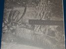PRURIENT + WILT - Blood Of The Lamb - LP