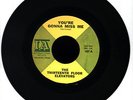 THIRTEENTH FLOOR ELEVATORS You're Gonna Miss Me/ Tried To Hide 7