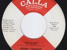 JOHNNY THUNDER I'm Alive LE BEAT BESPOKE mod dancer M- US 45 garage DON FARDON