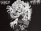 Insect Warfare/Hatred Surge 