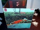 SPRING -  SAME  RCA NEON  PSYCH PROG mellotron