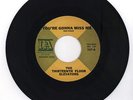 The Thirteenth Floor Elevators 1966 IA 45rpm You're Gonna Miss Me Roky Erickson