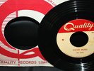 Gordon Lightfoot STATION BREAKS/SAFETY CHECKS Two Tones  Rare Canadian