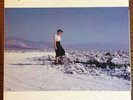 Pinback - Blue Screen Life Double Record Vinyl LP