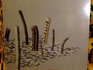 Constantines Shine A Light LP SEALED Sub Pop SP 569 Original RARE Release 2003