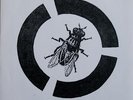 HALO OF FLIES Death Of A Fly 7