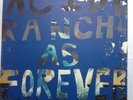 Acid Ranch As Forever Guided By Voices Robert Pollard Rare 1 of 525