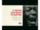 JOHN LEE HOOKER It Serve You Right To Suffer 2LP 180g 45rpm Audiophile Vinyl NEW