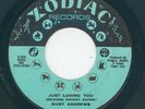 Northern / X-Over - Ruby Andrews - Just lovin you / the Love I Need  (VG)