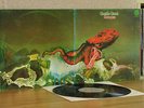 Gentle Giant - Octopus **UK 1972 1st Press Vertigo Swirl 6360 080** EX+/MINT-
