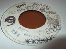 Twinkle Brothers Rasta Surface Jah Shaka Rare Killer Digi 7