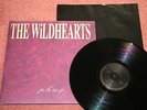 The Wildhearts - P.H.U.Q. LP (Germany Issue, Quireboys, EX) 