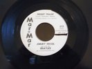Jimmy Nicol,now with the BEATLES- 