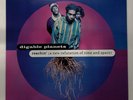 Digable Planets 