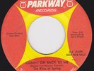 Garage Punk Fuzz 45 - RITES OF SPRING - Comin' On Back To Me / Why (?)
