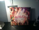 The Hold Steady Boys and Girls in America LP Craig Finn