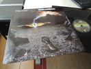 THIN LIZZY THUNDER AND LIGHTNING IN MINT HARD ROCK