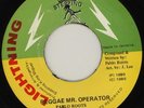 Pablo Roots - Reggae Mr. Operator