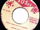 MICHAEL LEVY   WHEN I GONNA GET MY FREEDOM    ROOTS LISTEN