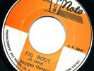 REGGAE GEORGE   FIG ROOT   LEGENDARY ROOTSI LISTEN