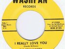 RARE NORTHERN-THE TOMANGOES-I REALLY LOVE YOU/YOUVE BEEN GONE SO LONG-US WASHPAN