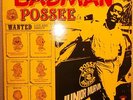 Junior Murvin - Badman Posse - ORIGINAL LP