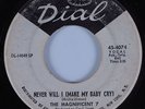 Northern Soul 45 MAGNIFICENT 7 Never Will I (Make My Baby Cry) DIAL HEAR