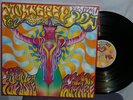 7 LP IMPORT BOX MONTEREY POP FESTIVAL 67 NEAR MINT OP NR VPI