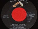 Elvis 