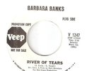 NORTHERN SOUL 45 -  BARBARA BANKS   
