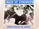 Chain Of Strength ?– What Holds Us Apart 7'' BLUE vinyl Rare youth of today SXE