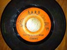 Elements 45 On SARU Records 