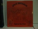 Split Decision Flight Of The Triad RARE PRIVATE Glam Metal PSYCH LP Acid Archive