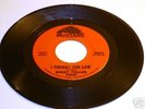 Bobby Fuller Four I FOUGHT THE LAW Original 45 rpm