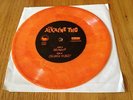 RARE Alkaline Trio 7