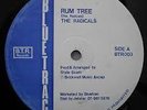 The  Radicals  ?– Rum Tree - Blue Trac Records ?– BTR003 - Killa Reggae 12