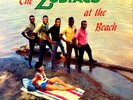 THE ZODIACS • AT THE BEACH • 1965 LP ARTHUR SMITH STUDIOS 5586