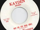 J. D. ROGUES-45-“Why Did God Make Girls”-KillerKool 1966 NH, CT Garage-Punk