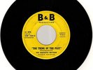 moody garage fuzz FANTASTIC RHYTHMS The Thing Of The Past B&B  rural Ohio   HEAR