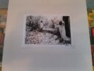 SUNN O))) White Box LP Southern Lord DOOM METAL boris isis burning witch earth