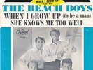 THE BEACH BOYS  WHEN I GROW UP B/W SHE KNOW ME TOO WELL