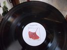 PORCUPINE TREE - access denied    vinyl 12